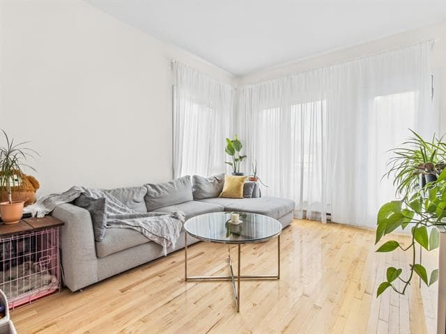 primary-205-4751-rue-st-ambroise